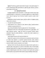 Referāts 'Uzņēmuma finansēšanas avoti', 8.