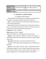 Referāts 'Uzņēmuma finansēšanas avoti', 11.