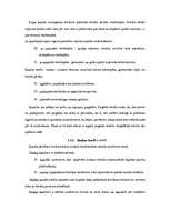 Referāts 'Uzņēmuma finansēšanas avoti', 13.