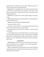 Referāts 'Uzņēmuma finansēšanas avoti', 16.