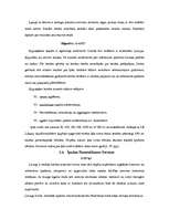 Referāts 'Uzņēmuma finansēšanas avoti', 19.