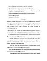 Referāts 'Uzņēmuma finansēšanas avoti', 22.