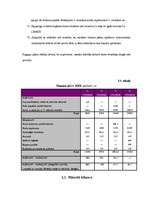 Referāts 'Uzņēmuma finansēšanas avoti', 32.