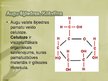 Prezentācija 'Šķiedru noteikšana', 7.