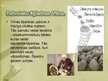 Prezentācija 'Šķiedru noteikšana', 10.