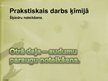 Prezentācija 'Šķiedru noteikšana', 20.