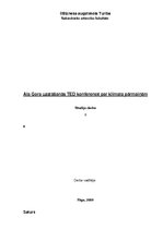 Referāts 'Ala Gora uzstāšanās analīze', 1.