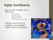Prezentācija 'Vingrojumi ar apli', 3.