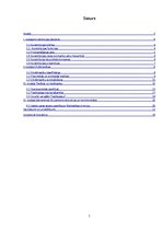 Referāts 'Konstitūcija un cilvēktiesības', 2.