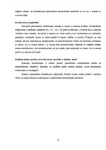 Referāts 'Konstitūcija un cilvēktiesības', 14.