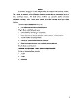 Referāts 'Rokraksta attīstība skolas gados', 5.