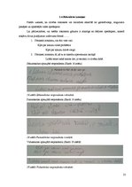 Referāts 'Rokraksta attīstība skolas gados', 22.