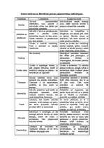 Eseja 'Konservatīvisms', 2.