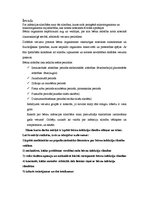 Konspekts 'Bērnu slimības', 1.