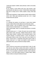 Konspekts 'Bērnu slimības', 7.