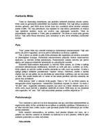 Referāts 'Simboliskais interakcionisms', 1.