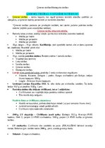 Konspekts 'Ģimenes tiesības', 1.