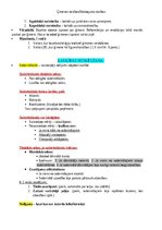 Konspekts 'Ģimenes tiesības', 3.