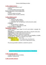 Konspekts 'Ģimenes tiesības', 4.