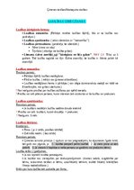 Konspekts 'Ģimenes tiesības', 7.