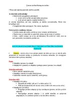 Konspekts 'Ģimenes tiesības', 10.