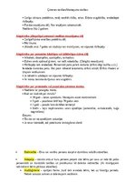 Konspekts 'Ģimenes tiesības', 15.