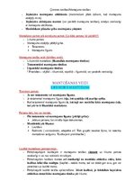 Konspekts 'Ģimenes tiesības', 19.