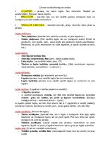 Konspekts 'Ģimenes tiesības', 24.