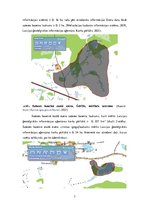 Referāts 'Alauksts', 7.