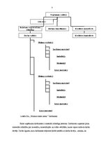 Prakses atskaite 'Mārketinga komunikācijas', 8.