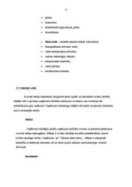 Prakses atskaite 'Mārketinga komunikācijas', 11.