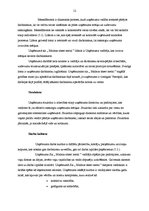 Prakses atskaite 'Mārketinga komunikācijas', 12.