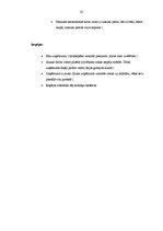 Prakses atskaite 'Mārketinga komunikācijas', 22.