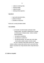 Prakses atskaite 'Mārketinga komunikācijas', 29.