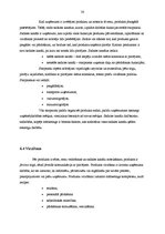 Prakses atskaite 'Mārketinga komunikācijas', 30.