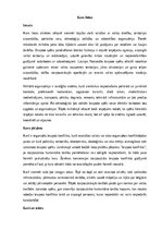 Referāts 'Kara lietas', 1.