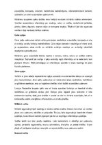 Referāts 'Kara lietas', 3.