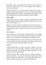 Referāts 'Kara lietas', 4.