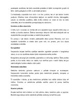 Referāts 'Kara lietas', 11.