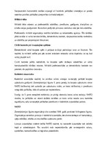 Referāts 'Kara lietas', 12.