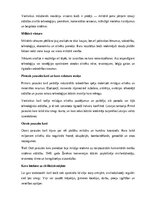 Referāts 'Kara lietas', 15.