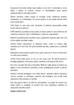 Referāts 'Kara lietas', 23.