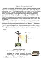 Konspekts 'Automašīnas "Toyota Avensis" dīzeļa iesmidzināšanas sistēma', 2.