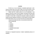 Referāts 'Rozes tēls glezniecībā', 2.