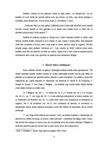 Referāts 'Rozes tēls glezniecībā', 8.