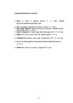 Referāts 'Rozes tēls glezniecībā', 14.