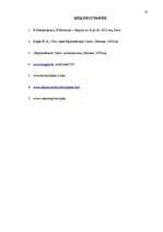 Referāts 'Структура и создание Европейского Союза', 18.