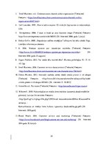 Referāts 'Komunikācijas ar klientiem loma veikala "Amoralle" tēla veidošanā', 29.