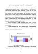 Referāts 'Mūzika kā viens no pircēju iespaidojošiem faktoriem', 15.