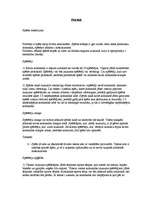 Konspekts 'Florbols', 1.